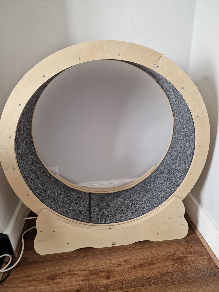 Cat spinning wheel 