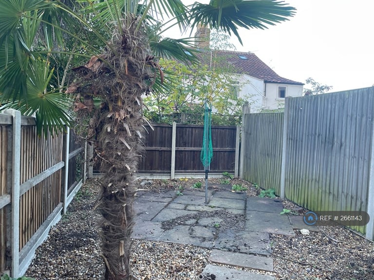 3 bedroom house in York Street, Norwich, NR2 (3 bed) (#2661143)