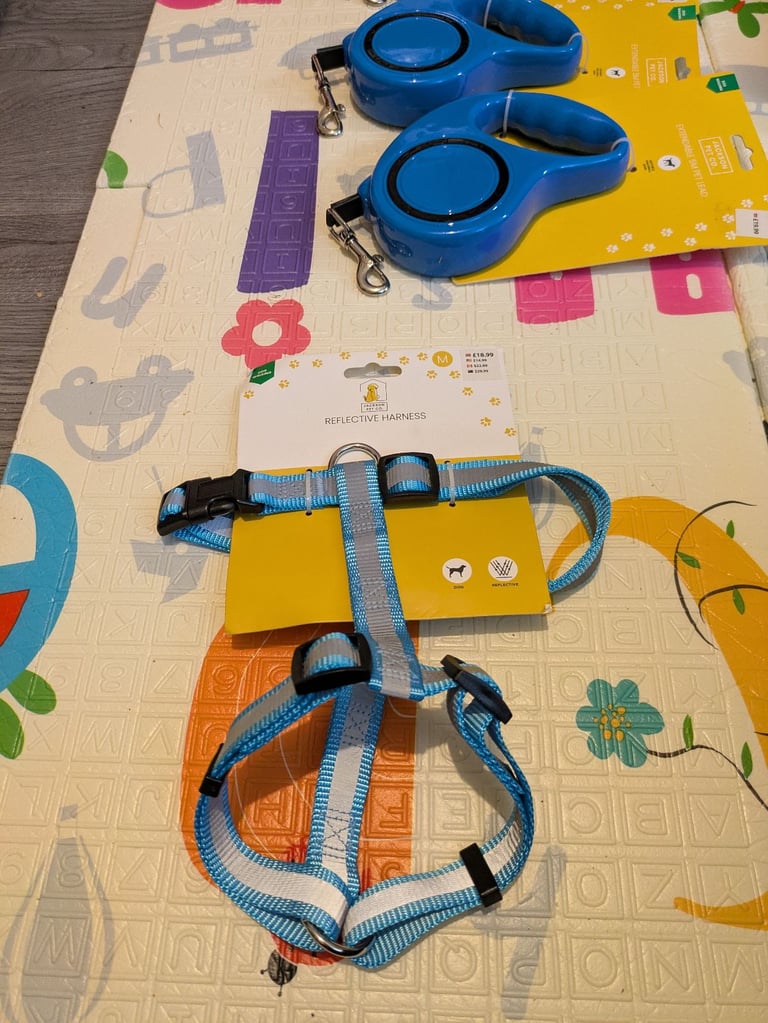 🐶 Jackson.Co Pet Accessories Job Lot – Brand New & Unused! 🐶