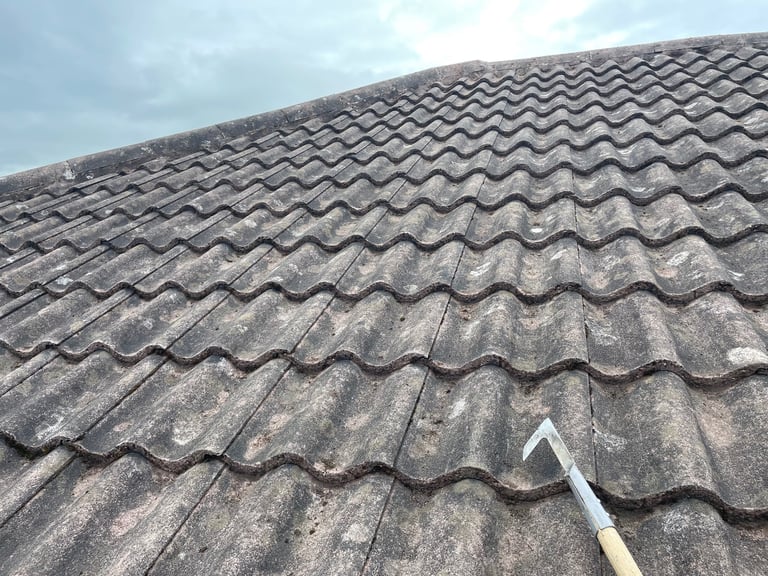 image for Manual Moss Removal