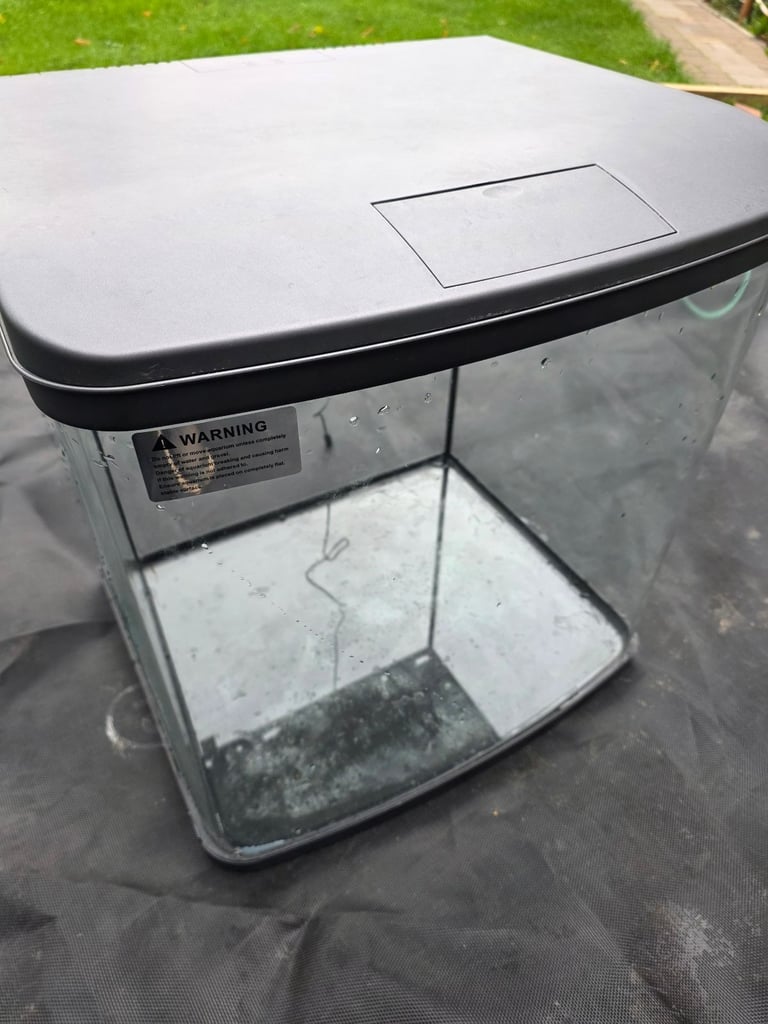 100l aquarium