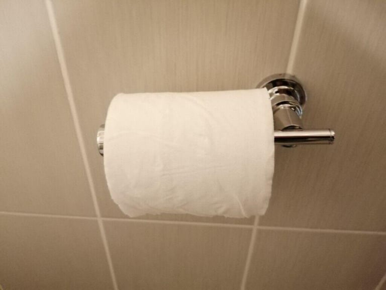 Chrome toilet roll holder 