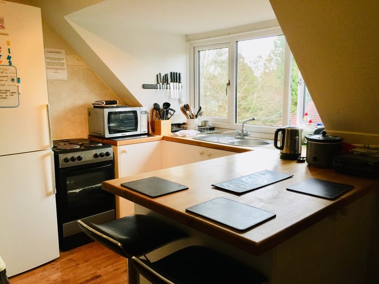 DOUBLE ROOM WITH OWN PRIVATE SHOWER ROOM TO RENT. GREAT LOCATION.