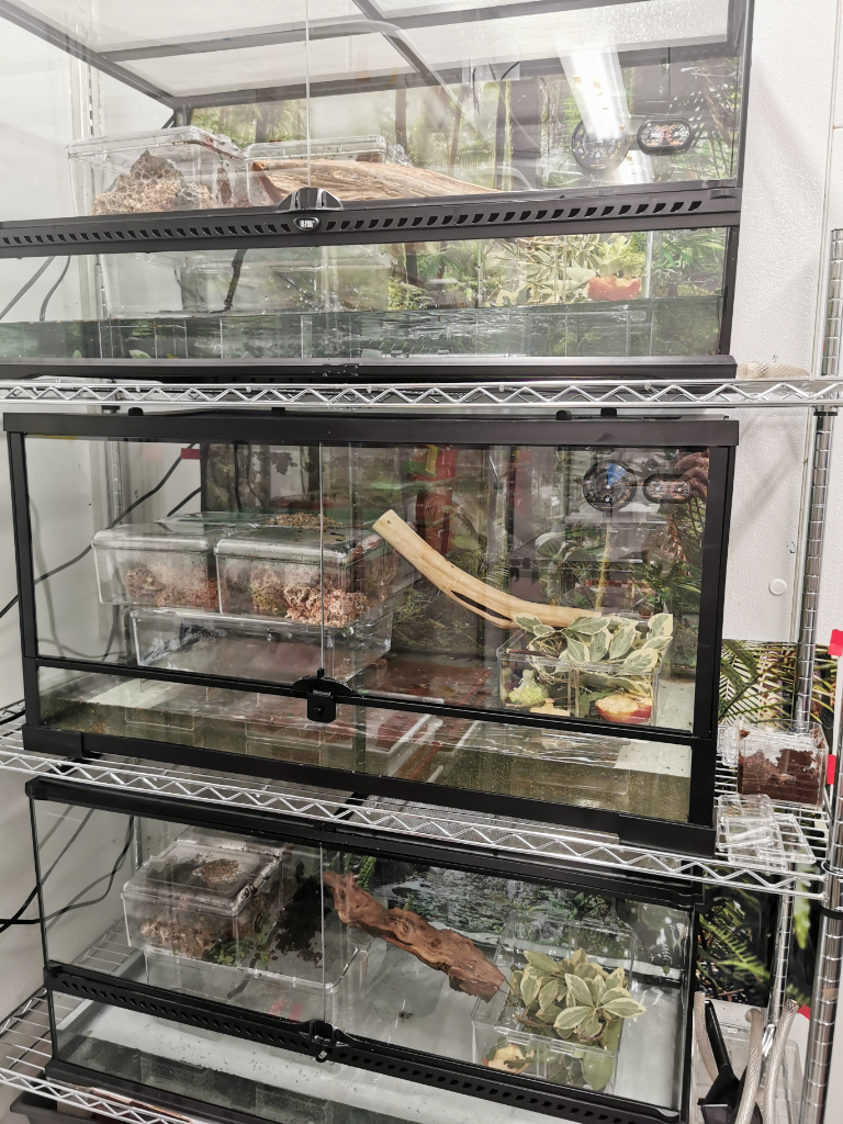 All Glass Fish Tanks Made To Measure, Lowest Prices Possible
