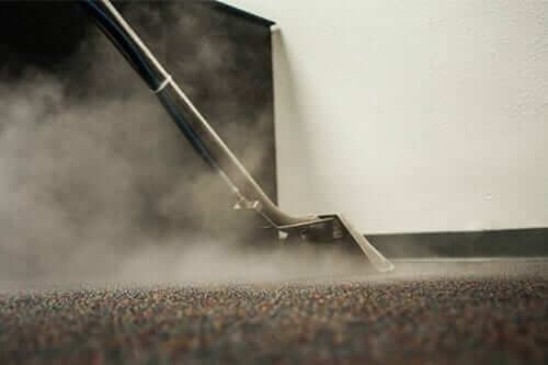 Carpet And Upholstery Cleaner Service - Pro Rated Cleaning - End Of Tenancy - Quick Dry & Insured! 
