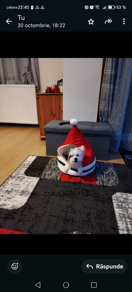 image for Male Spoty