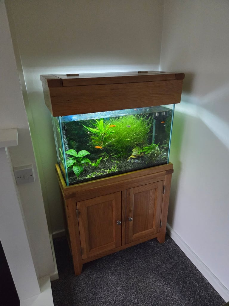 Aqua oak aquarium 