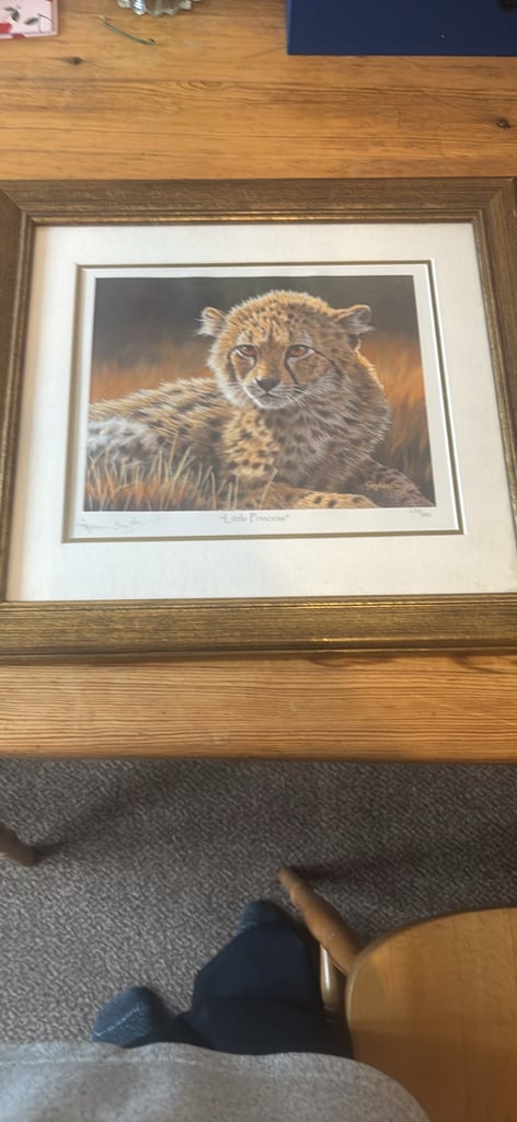 image for Stephen Gayford Little Princess Ltd audition print 