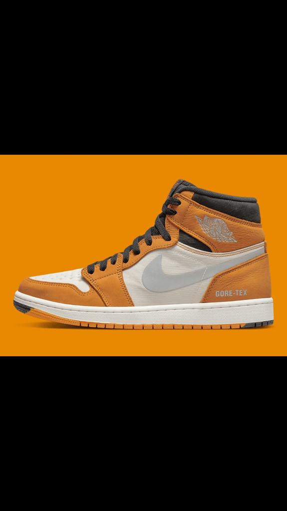 The Air Jordan 1 Element GORE-TEX