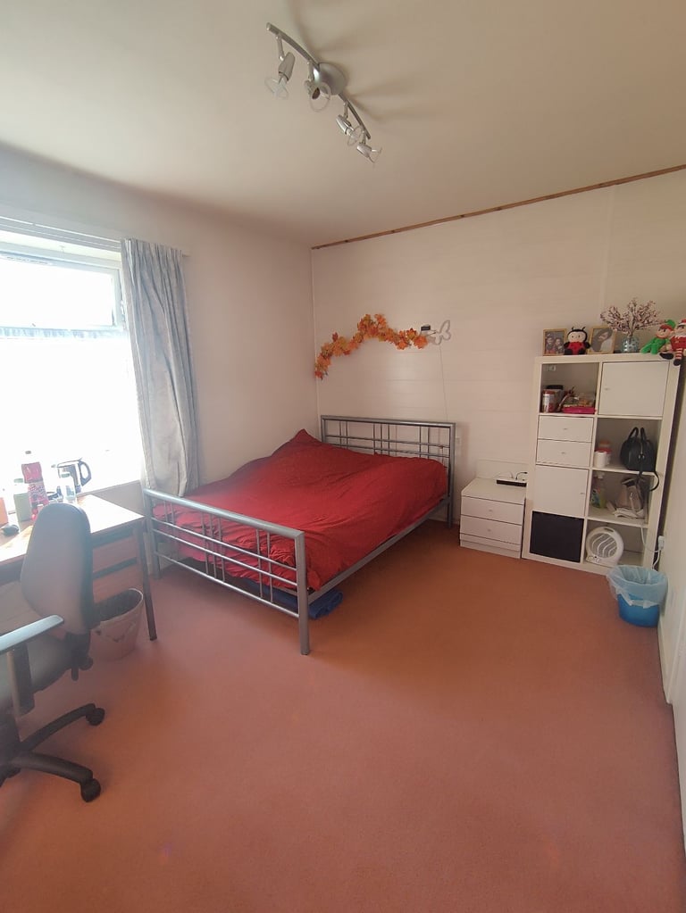 Spacious cozy room to rent