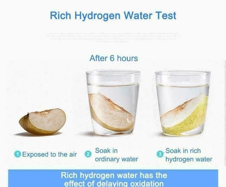 Leveluk Enagic Kangen SD501 water ioniser machine