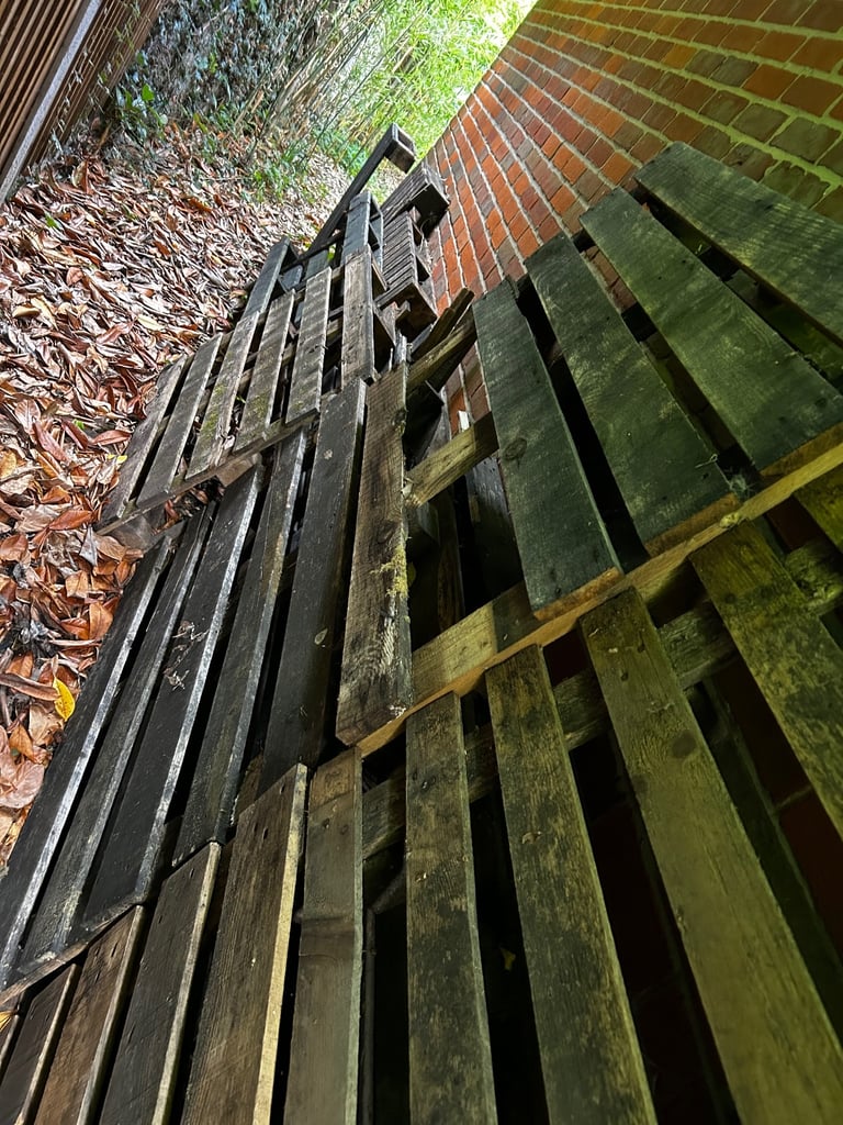 image for A selection of wooden pallets 