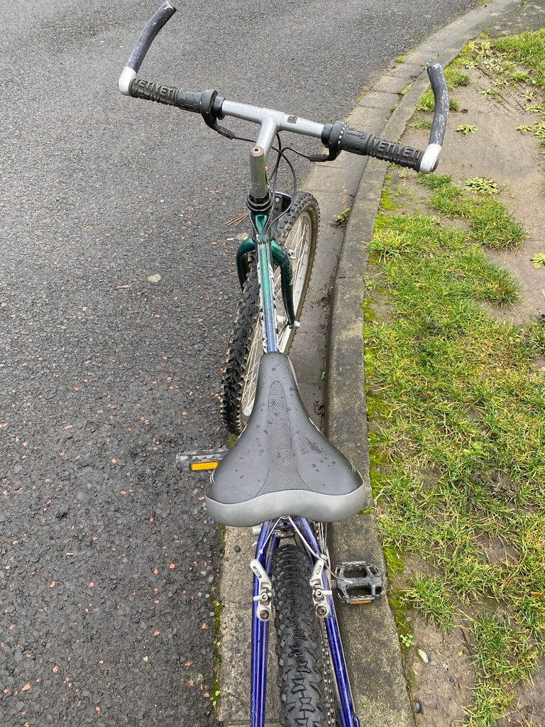 Trek retro mountain bike 13-5”