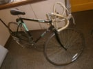 1990 BSA Raleigh junior racing bike: 10-speed. Pretty good condition.