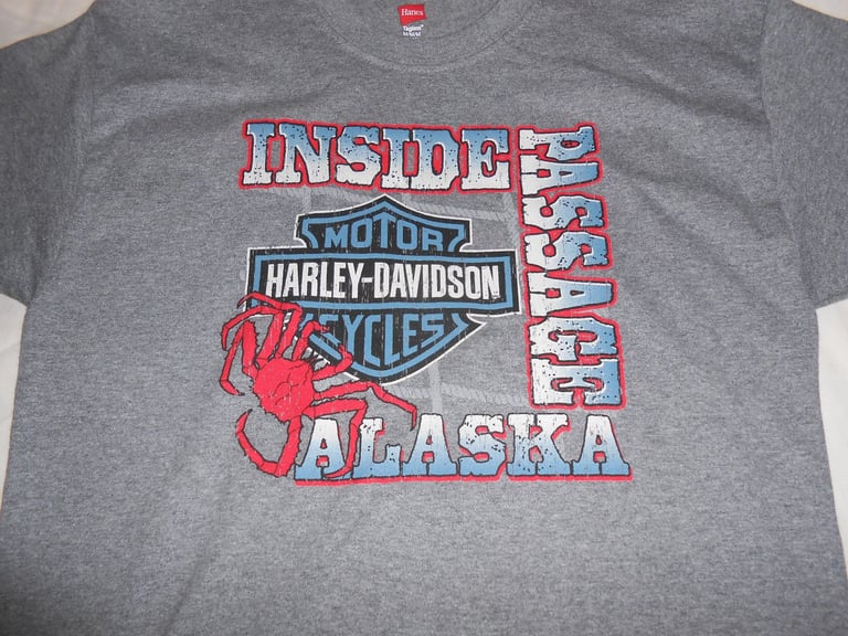 image for HARLEY DAVIDSON KIDS T SHIRTS.