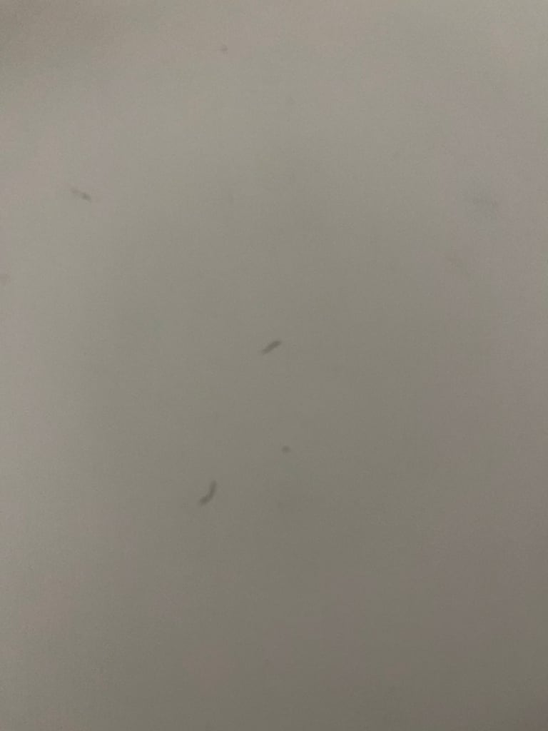 White 3-Drawer Chest of Drawers