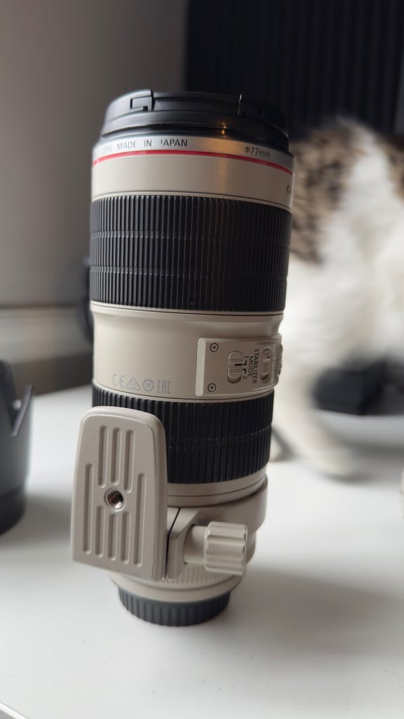 Canon EF 70-200 f/2.8IS USM MKII Lens