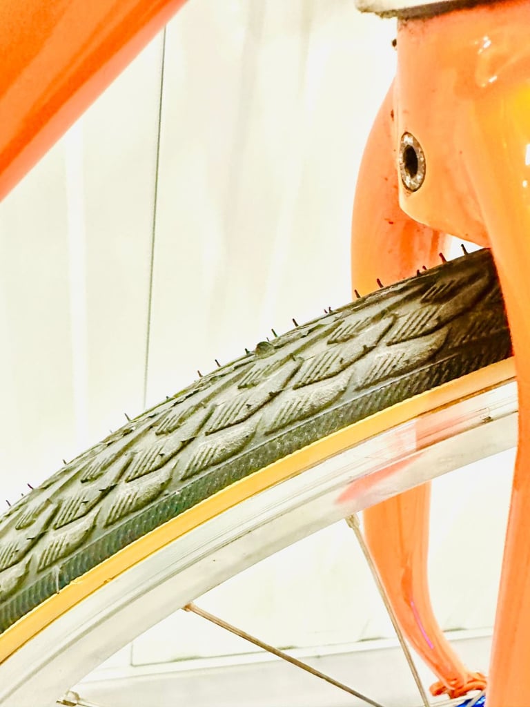 Virtually New HOLDWORTH Size/54 cm Single Speed Road Biike Super LW 