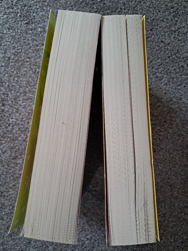 Brand new 2x Geek Girl paperbacks Holly Smale