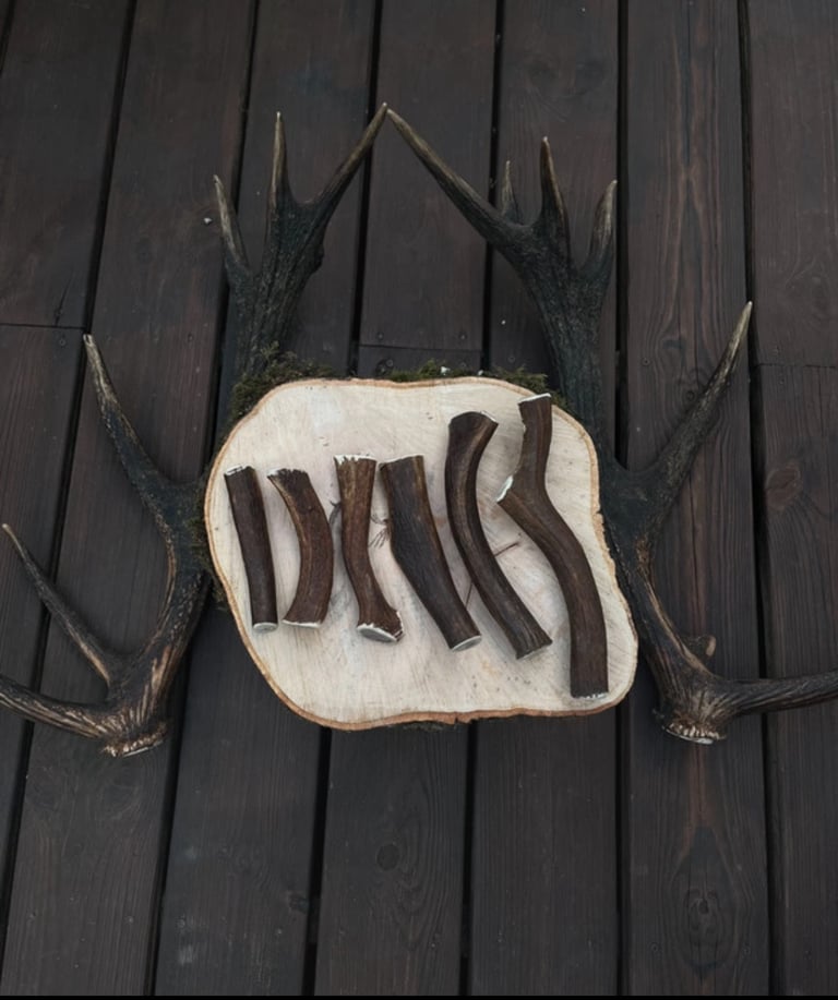 100% Naturally Sourced Welsh deer antlers