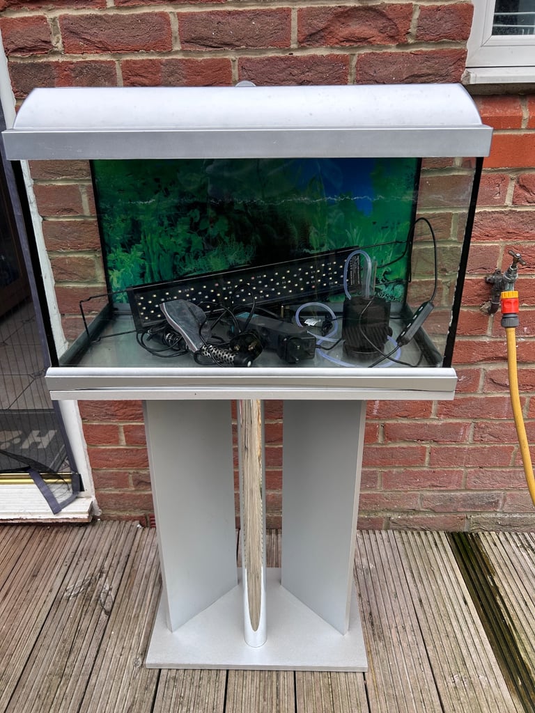 50L Fish tank with Stand + 2 gold fish