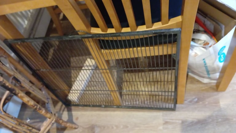 Parrot cage
