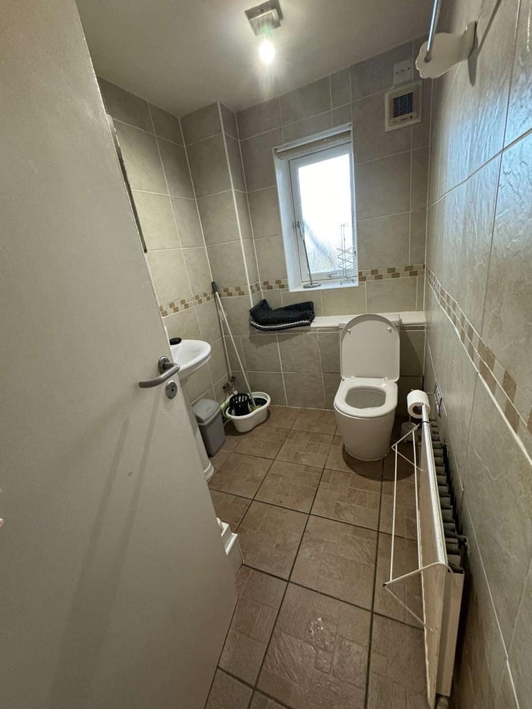 Need a Female roommate