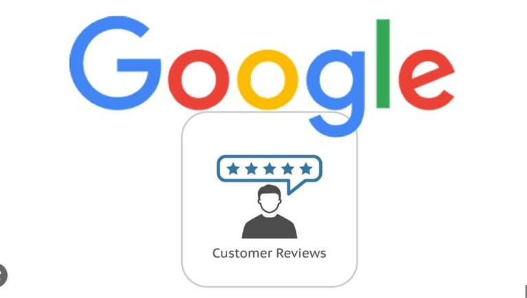 Google Review provider
