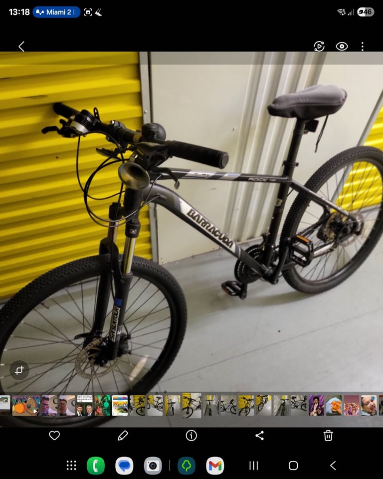 Barracuda Mountain bike