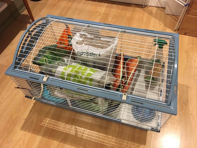 Rabbit or Guinea pig cage/hutch with everything you need