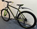 Team Mountain Bike Grey/Green