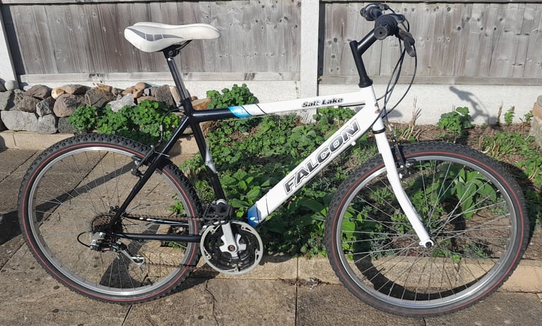 image for Mens bike