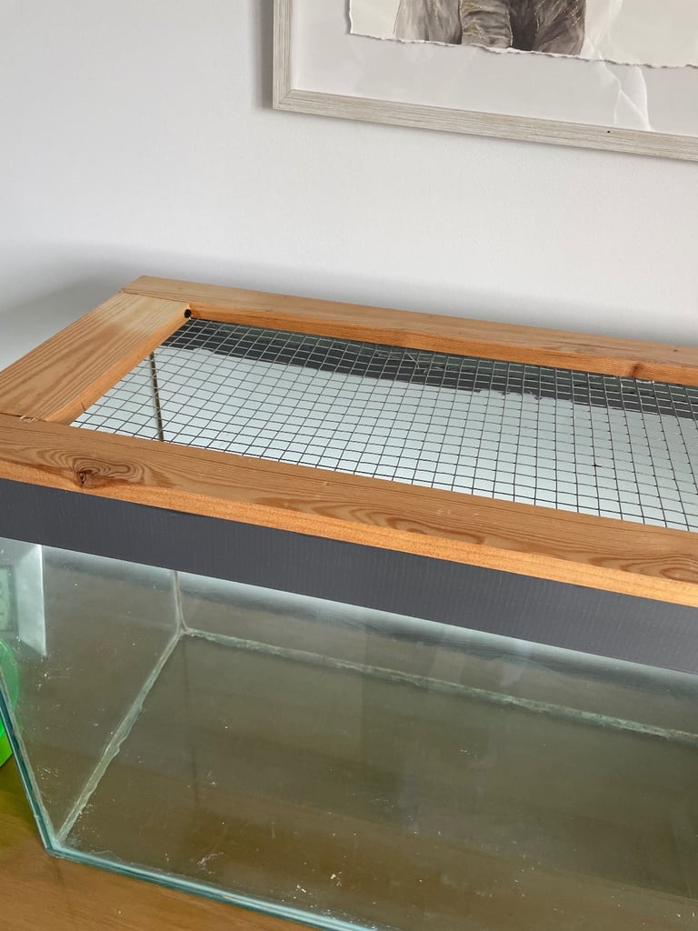 Mouse/Rodent Tank