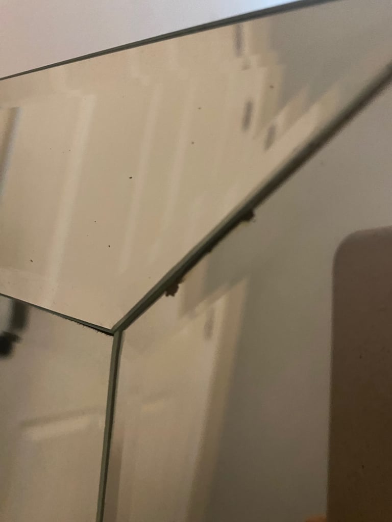 tall mirror
