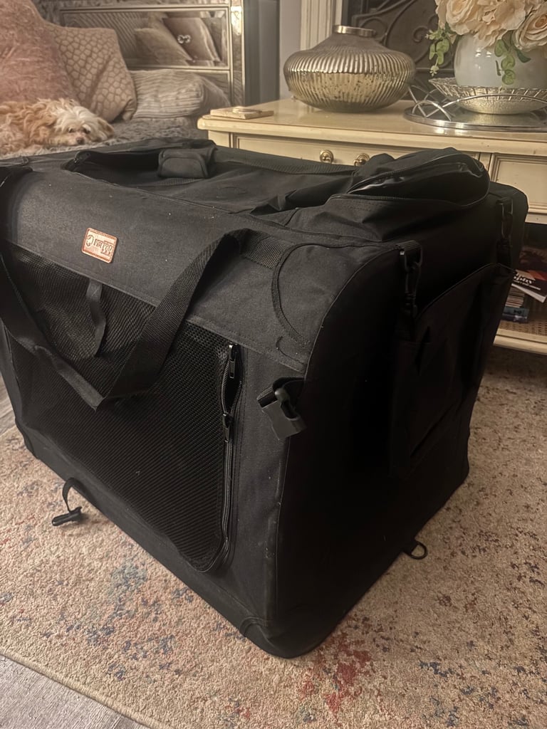 Large pet carrier 