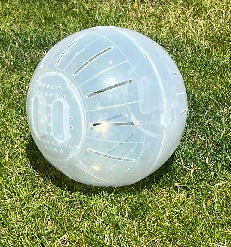 Large hamster exercise ball