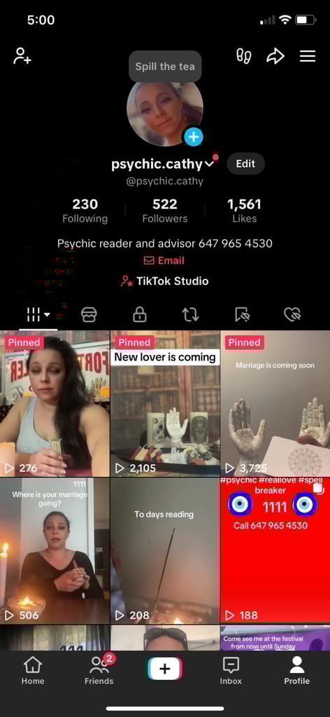 Psychic cathy
