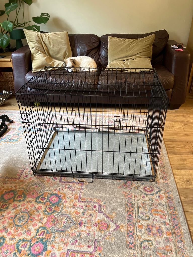 Large dog crate
