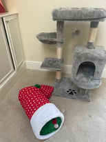 Loads of cat/kitten stuff for sale! Free local delivery 