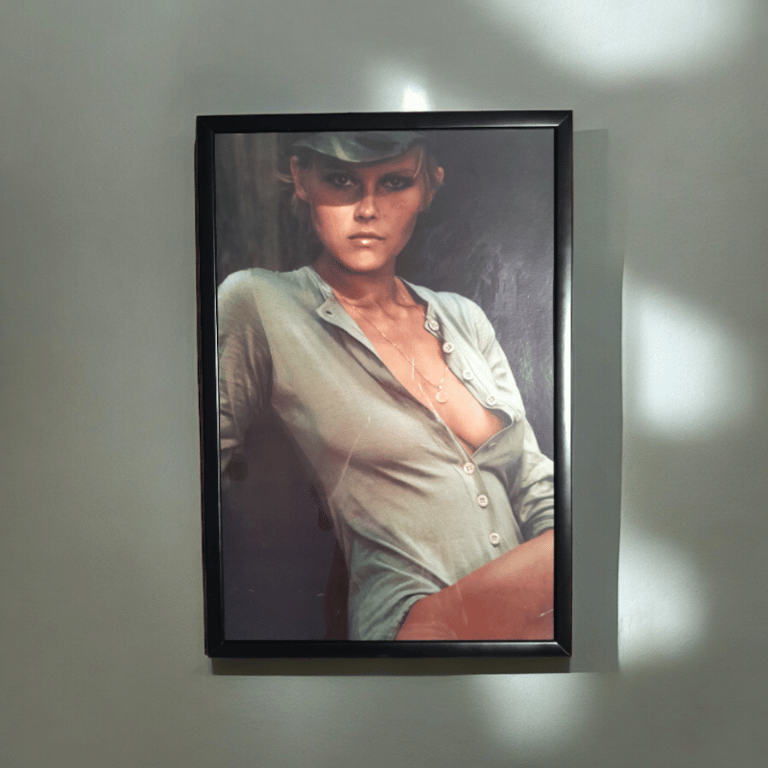 Large original 1973 picture / poster