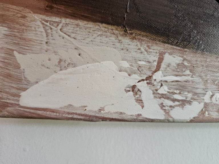 LARGE CANVAS PICTURE- VGC