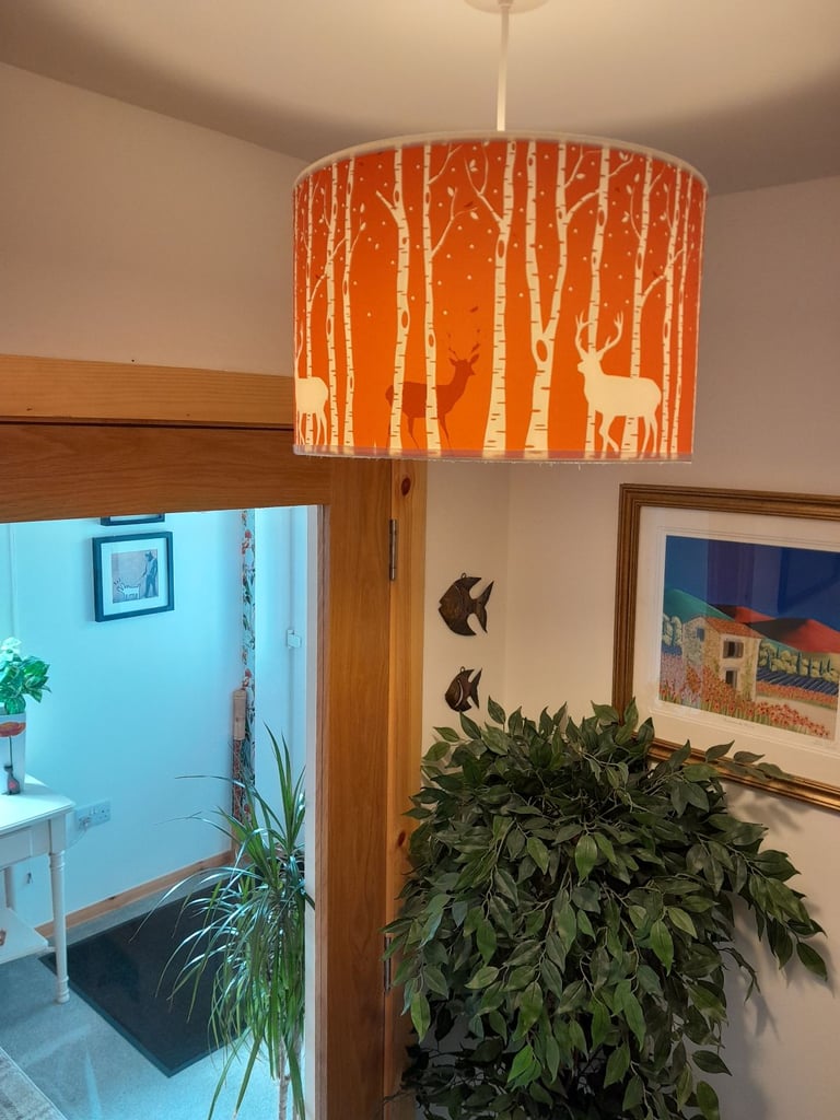 image for Lamp shades FREE.