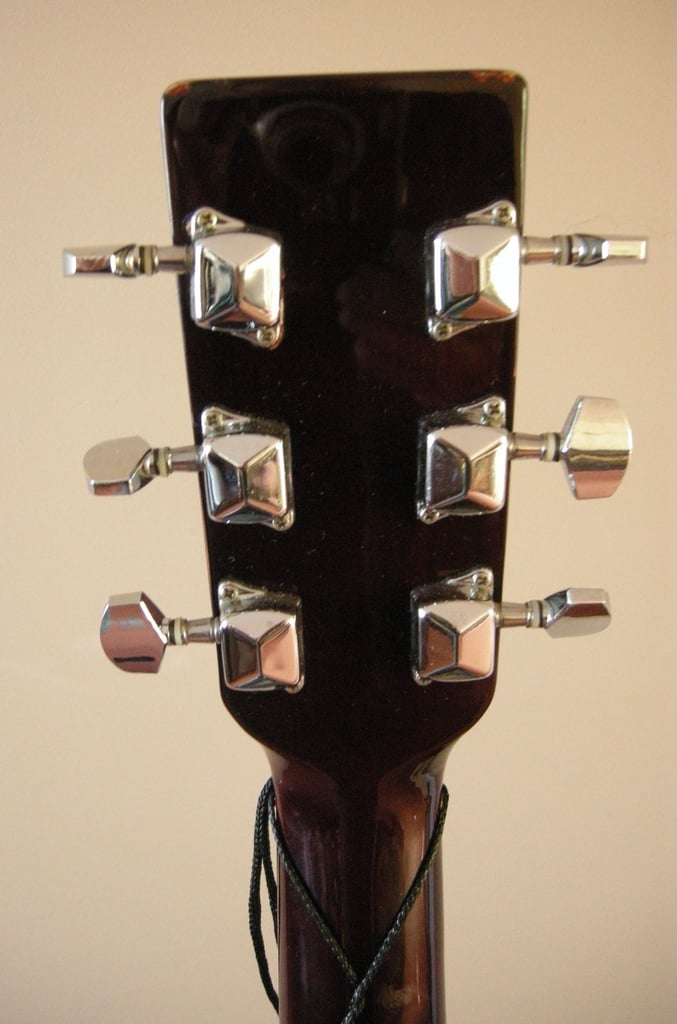 ELEVATION ACOUSTIC GUITAR