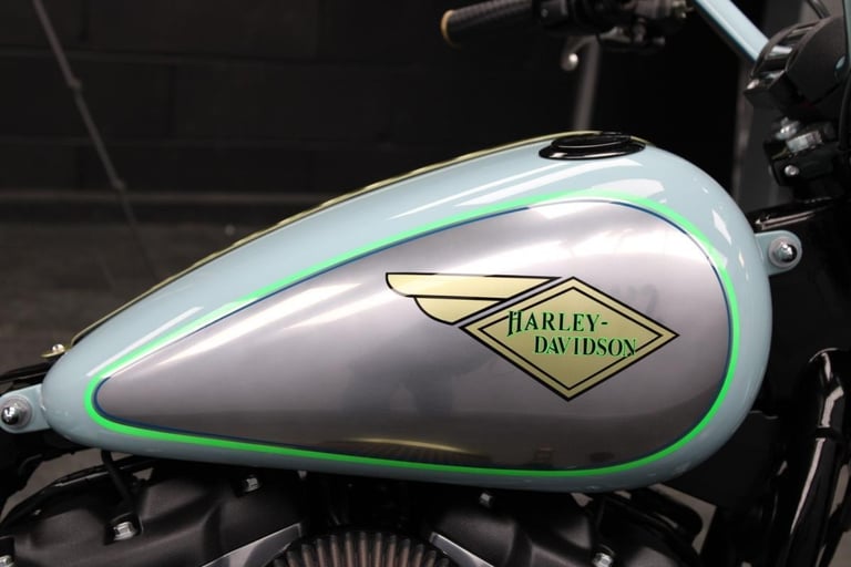 2018 Custom Harley-Davidson FXBB Softail Street Bob by Speed & Custom 