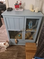 2 male rabbits and cage 