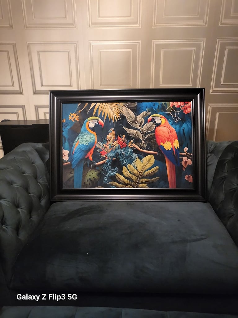 image for Velvet touch partot picture