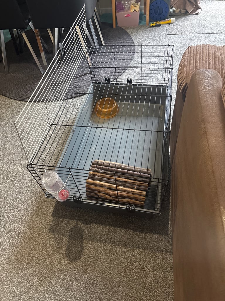 Animal cage 