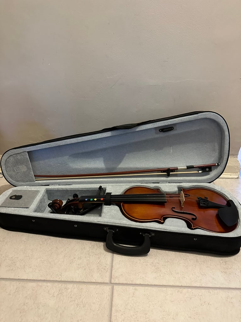 Beautiful violin
