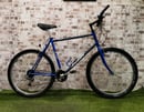 Raleigh Team Edition Mountain Bike Bicycle
Good Condition