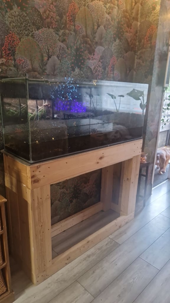 Free fish tank and stand.